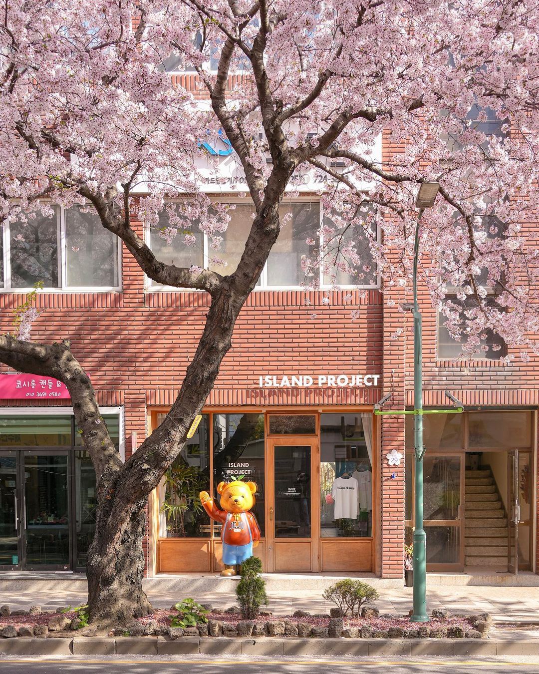 ▲아일랜드프로젝트 팝업스토어. (롯데백화점)