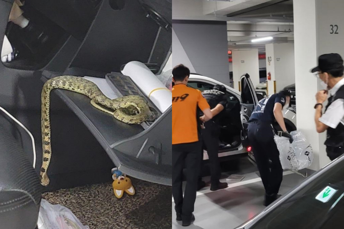 ▲(출처=온라인 커뮤니티 보배드림)