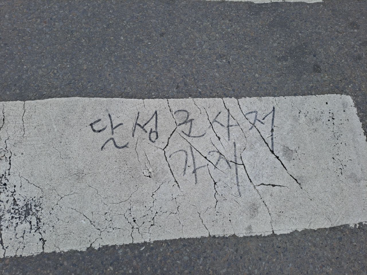 ▲대구시 달성군의 도심 횡단보도에 쓰여진 낙서(독자제공/뉴시스)