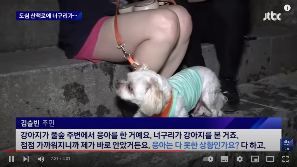 ▲(출처= JTBC 유튜브 영상 캡처)