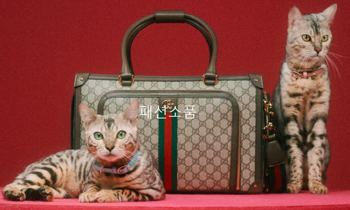 ▲구찌 홈페이지
