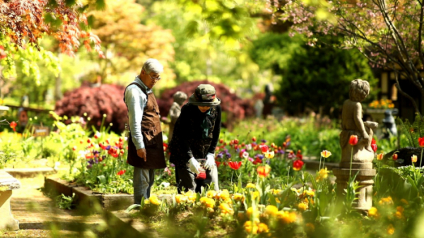 ▲'김영철의 동네 한 바퀴' 평창(사진제공=KBS 1TV)