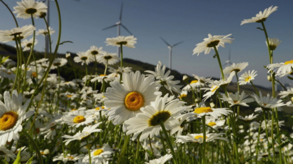 ▲'김영철의 동네 한 바퀴' 평창(사진제공=KBS 1TV)