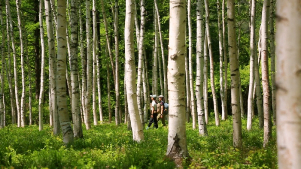 ▲'영상앨범 산' 인제 방태산(사진제공=KBS 2TV)