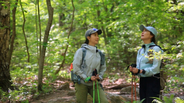 ▲'영상앨범 산' 인제 방태산(사진제공=KBS 2TV)