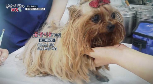 ▲'심장이 뛴다 38.5'(사진제공=MBC)