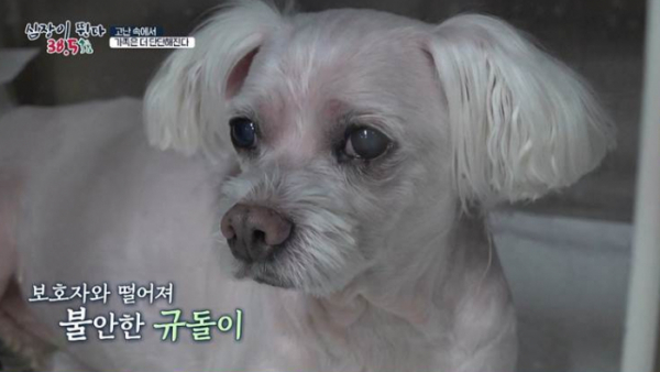 ▲'심장이 뛴다 38.5'(사진제공=MBC)