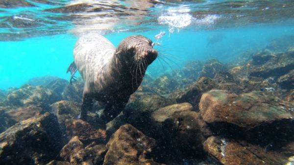 ▲'걸어서 세계속으로' 에콰도르(사진제공=KBS 1TV)