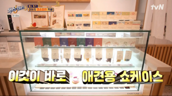 ▲강아지 코스요리 카페(사진=tvN 방송화면 캡처)