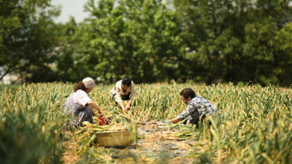 ▲''김영철의 동네 한 바퀴' 당진(사진제공=KBS 1TV)
