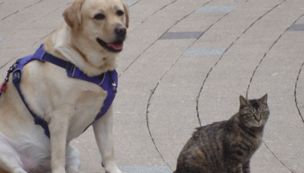 ▲'TV'동물농장'(사진제공=SBS)