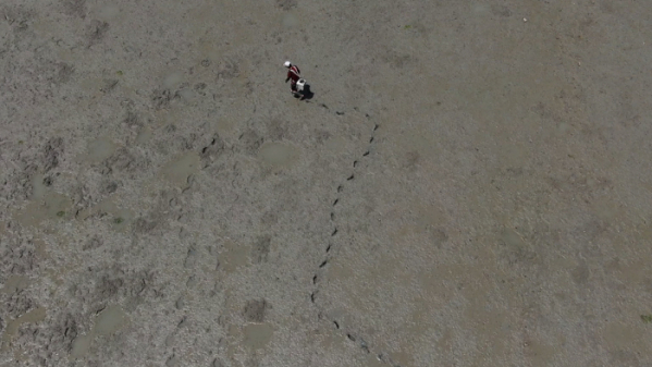 ▲'극한직업'(사진제공=EBS1)