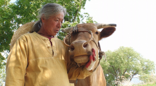 ▲'TV동물농장'(사진제공=SBS)