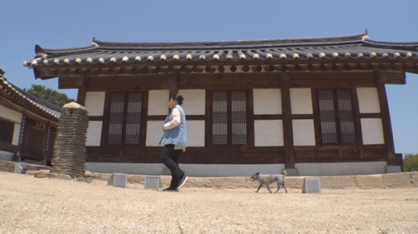 ▲'TV동물농장'(사진제공=SBS)