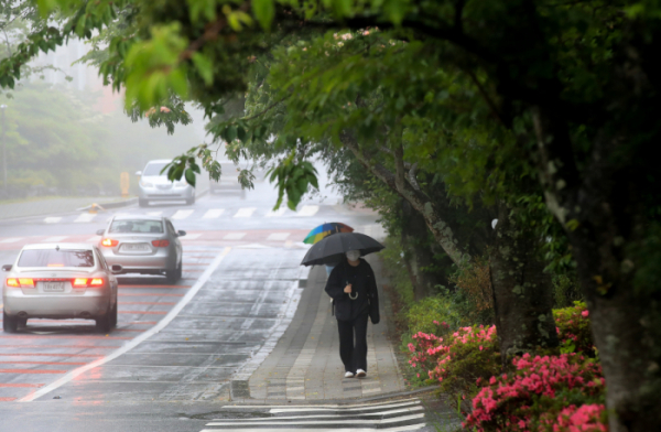▲올해 첫 장마비가 내렸던 제주도에서 우산을 쓴 시민들이 걸어가고 있다.  (뉴시스)