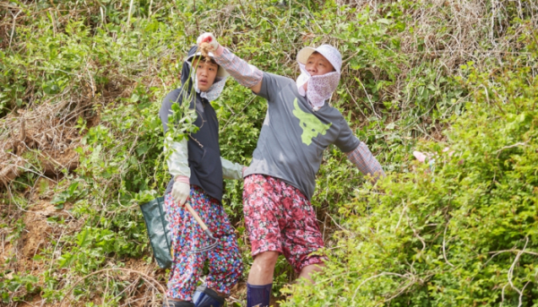 ▲'허섬세월'(사진제공=JTBC)