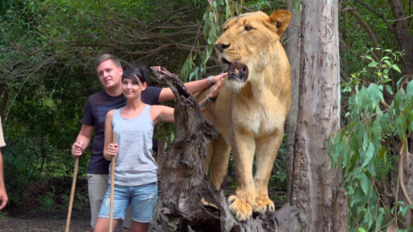 ▲'걸어서 세계속으로' 스리랑카, 모리셔스(사진제공=KBS 1TV)