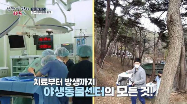 ▲'심장이 뛴다 38.5'(사진제공=MBC)