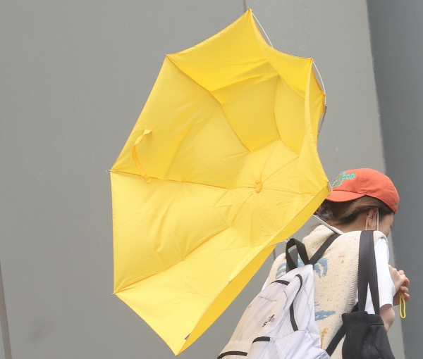 ▲서울·인천·경기 지역에 호우주의보가 내려진 23일 오후 서울 여의도에서 한 시민이 강풍을 견디고 있다. (연합뉴스)
