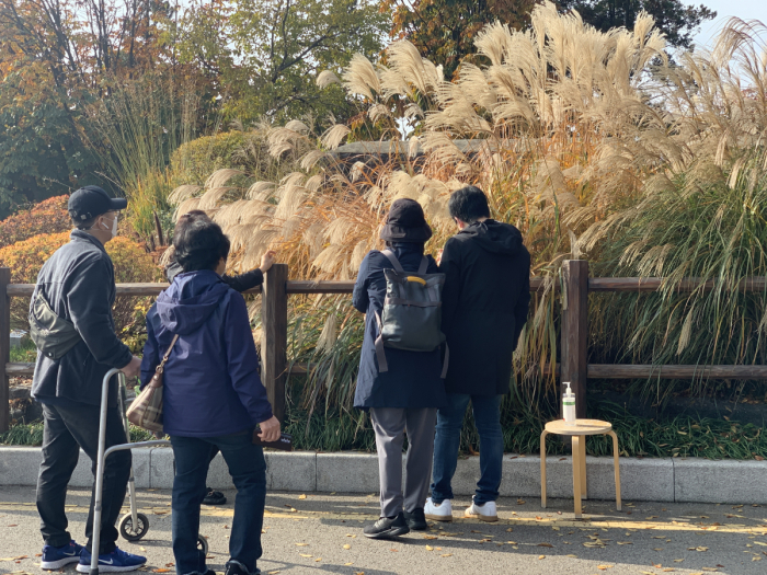 ▲투어 참가자가 남산에 심겨 있는 억새를 직접 만져보며 억새와 갈대의 차이점을 듣고 있다.(서울관광재단)