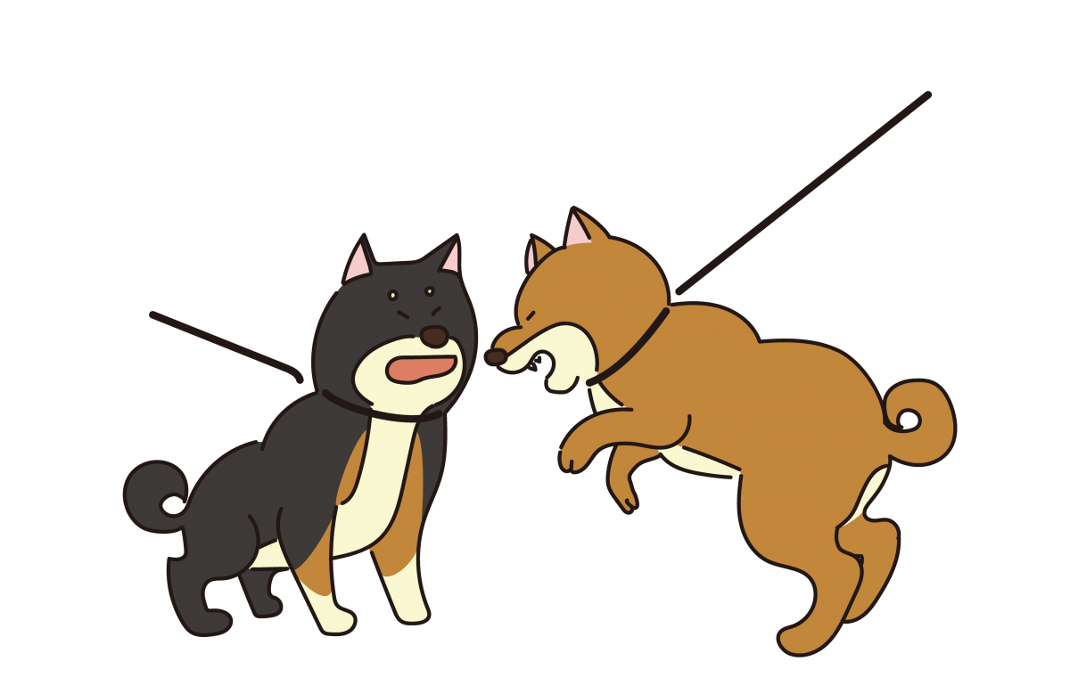 ▲반려동물 간의 사고는 형사처벌이 불가능하다 (게티이미지뱅크)