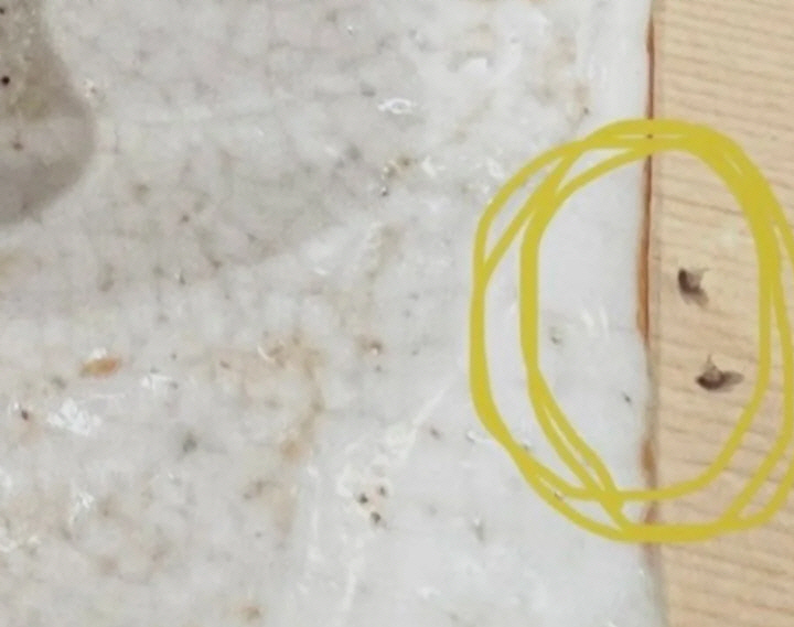 (출처=온라인커뮤니티)