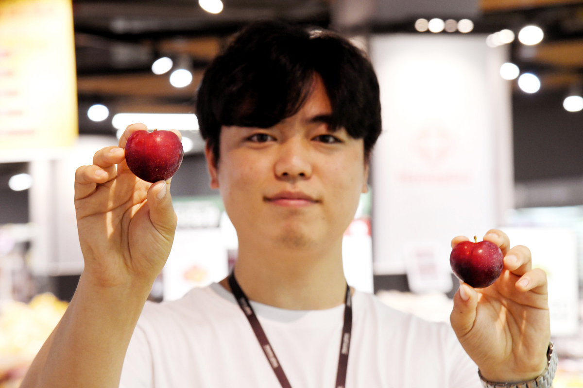 ▲체리자두 오프라인 마트 단독 판매. (홈플러스)