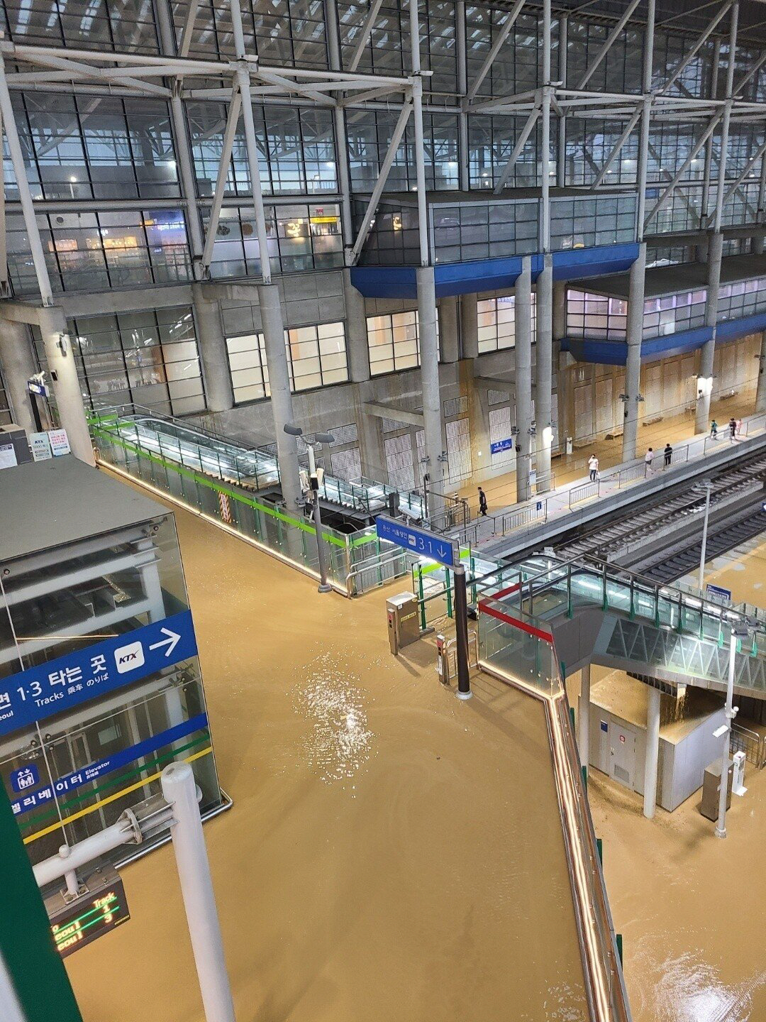 ▲(커뮤니티 캡처)
