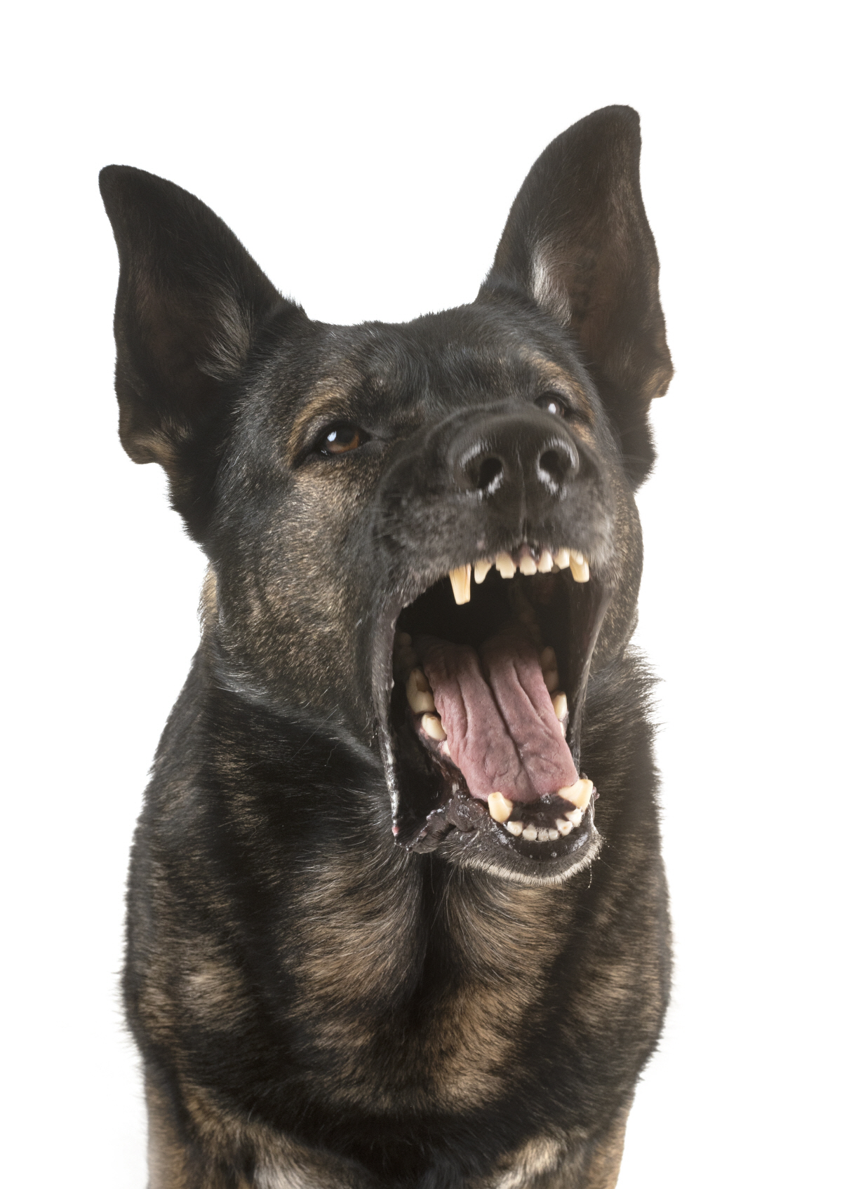 ▲(게티이미지뱅크)
