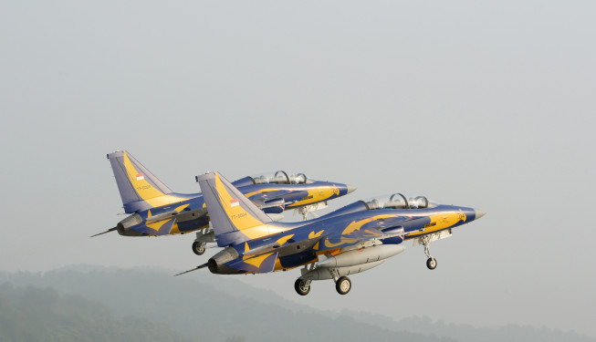 ▲한국산 훈련기 T-50i(골든이글). 뉴시스