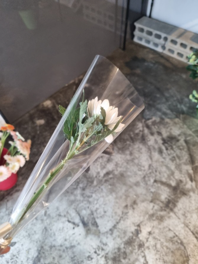 ▲인하대 인근 꽃집 사장이 A씨에게 무료로 나눔한 국화꽃. (출처= 트위터)
