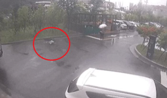 ▲11일 울산의 한 아파트 단지에서 8세 아이가 개에게 물리는 사고가 발생했다. (출처=온라인 커뮤니티 캡처)
