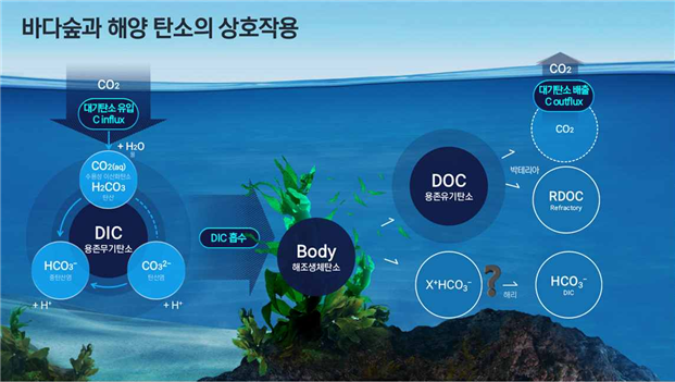 ▲바다숲과 해양 탄소의 상호작용을 알기 쉽게 표현한 그림. (사진제공=한국수산자원공단)