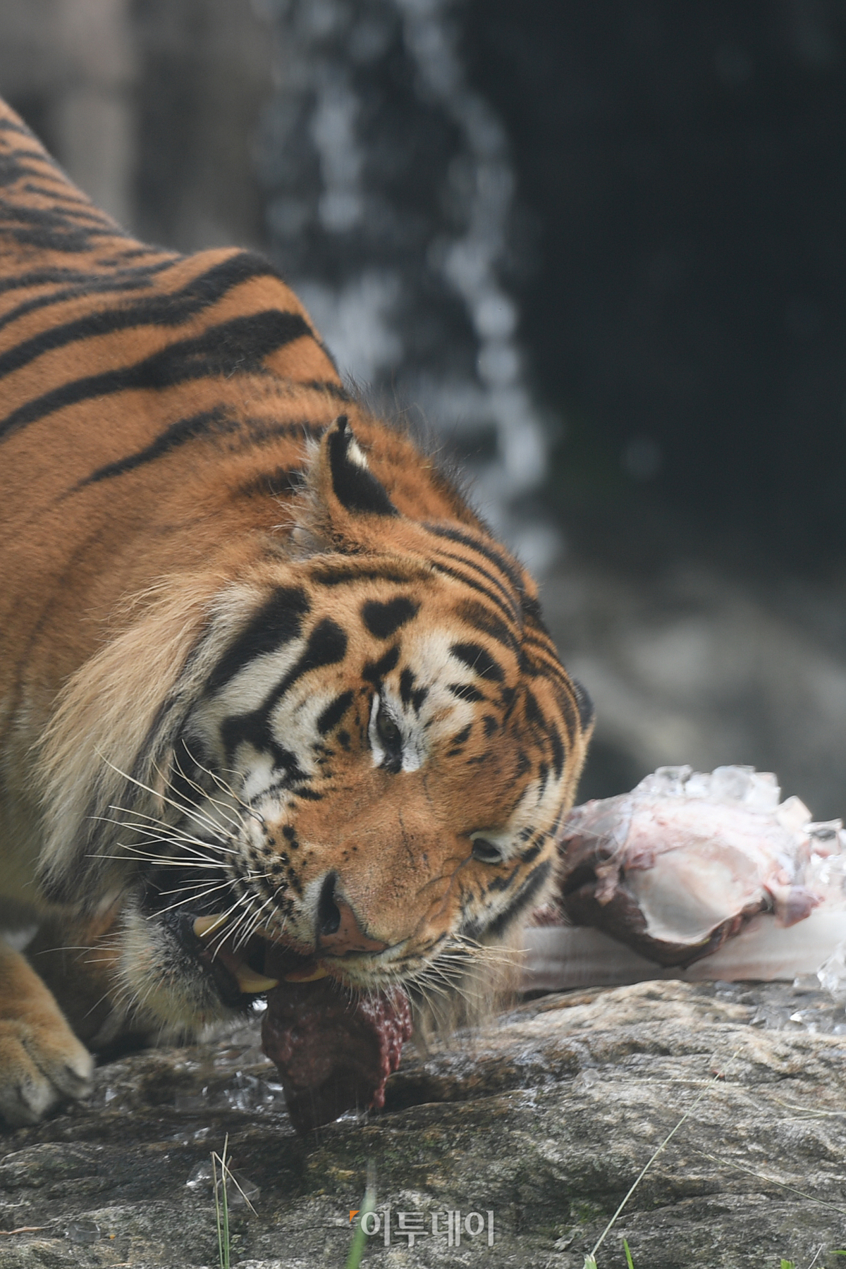 (조현호 기자 hyunho@)