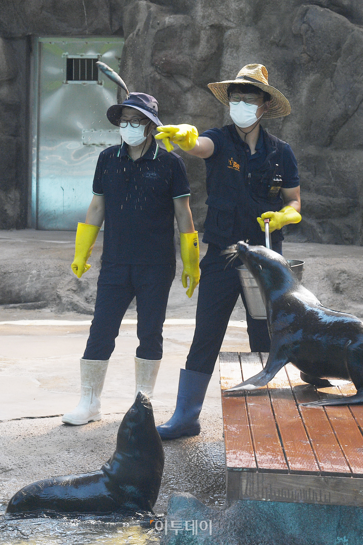 (조현호 기자 hyunho@)