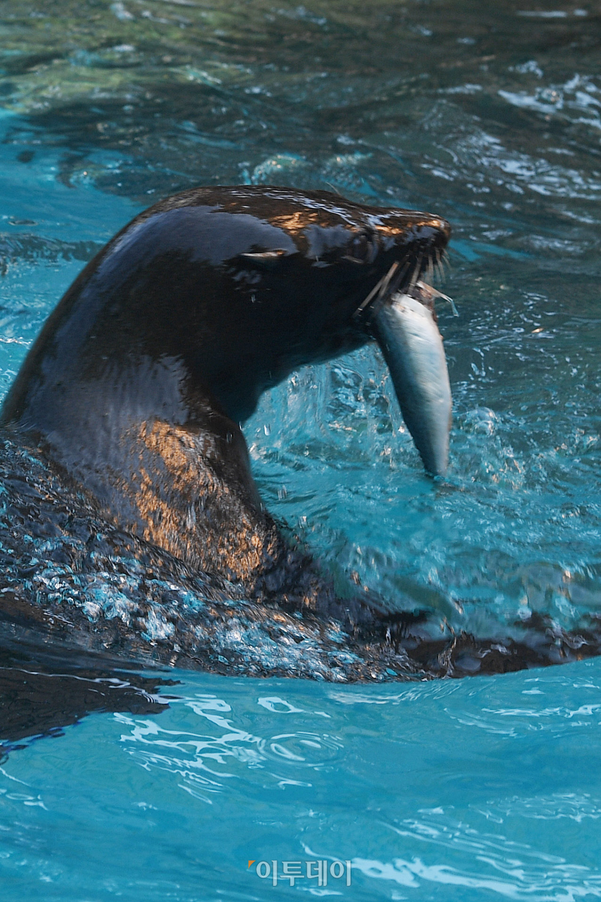 (조현호 기자 hyunho@)