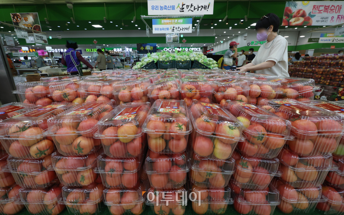 (조현욱 기자 gusdnr8863@)