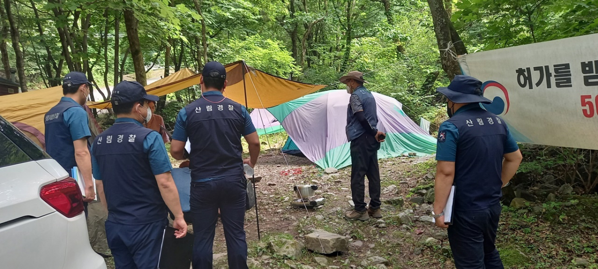 ▲산림청 산림사법경찰이 강원 영월 연하계곡에서 불법행위를 단속하고 있다. (사진제공=산림청)