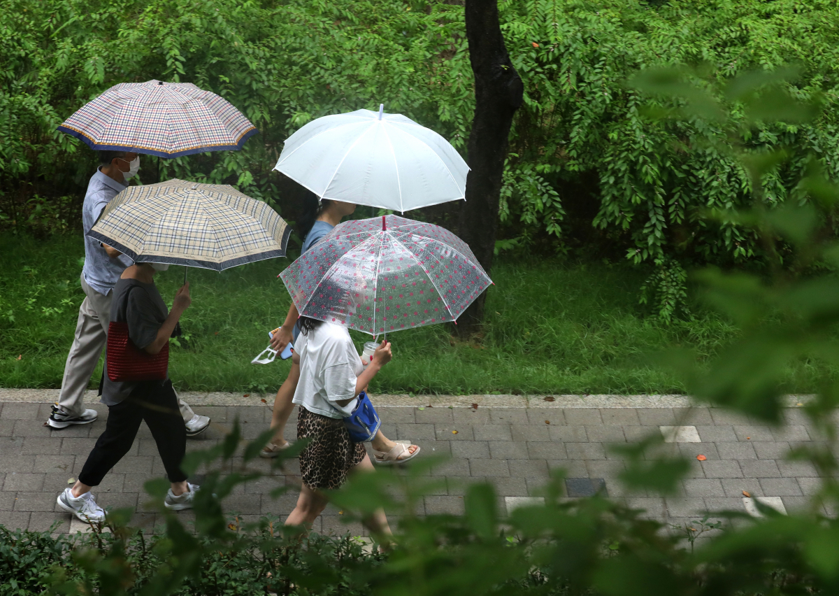 ▲31일 오후 서울 서초구 양재천길에서 우산을 쓴 시민들이 녹음 속을 산책하고 있다. (뉴시스)