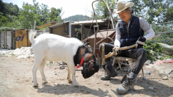▲'동물극장 단짝'(사진제공=KBS 1TV)
