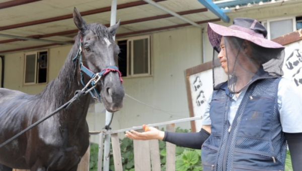 ▲'동물극장 단짝'(사진제공=KBS 2TV)