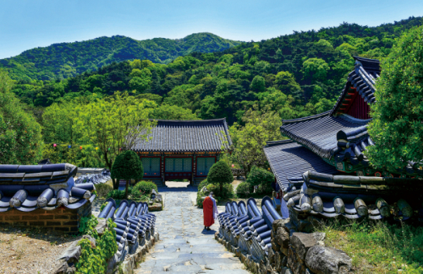 (이현숙 여행작가)