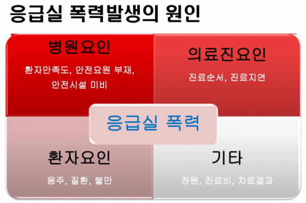 ▲대한응급의학괴 김현 기획이사 ‘법조·의료인력에 대한 보복성 폭력행위 방지대책 긴급토론회’ 주제발표 ‘의료인력에 대한 보복성 폭력행위 방지대책’ 발췌