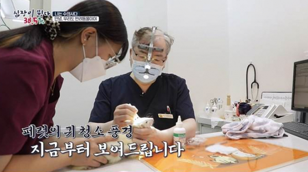 ▲'심장이 뛴다 38.5'(사진제공=MBC)