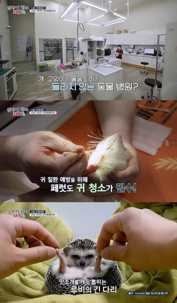 ▲'심장이 뛴다 38.5'(사진제공=MBC)