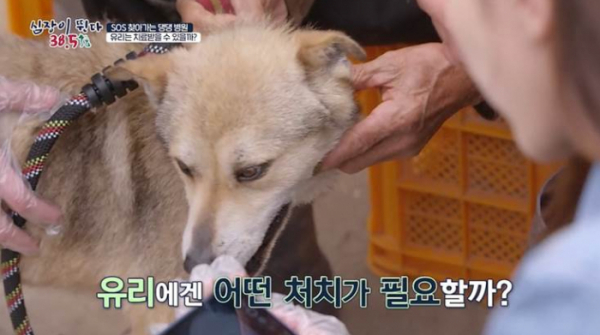 ▲'심장이 뛴다 38.5'(사진제공=MBC)