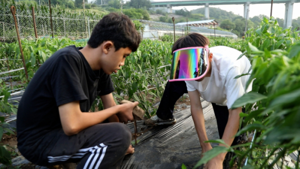 ▲'동행'(사진제공=KBS 1TV)