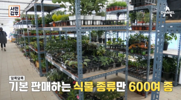 ▲'서민갑부' 화훼(사진제공=채널A)