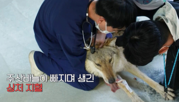 ▲‘심장이 뛴다 38.5’(사진제공=MBC)