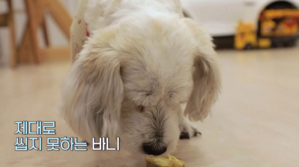 ▲‘심장이 뛴다 38.5’(사진제공=MBC)